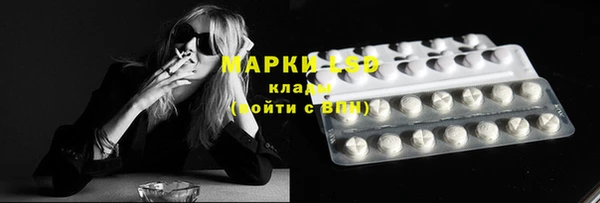 spice Абинск